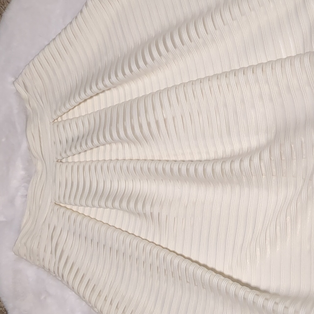 Stripe Sheer Skirt